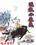 顶级小农民